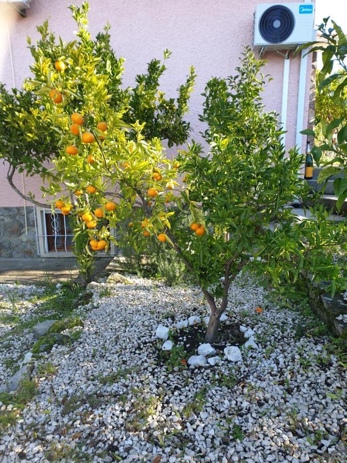 Quinta De Sao Marcos Guest House Fundao Exterior photo