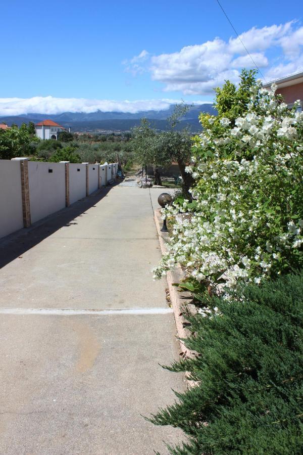 Quinta De Sao Marcos Guest House Fundao Exterior photo